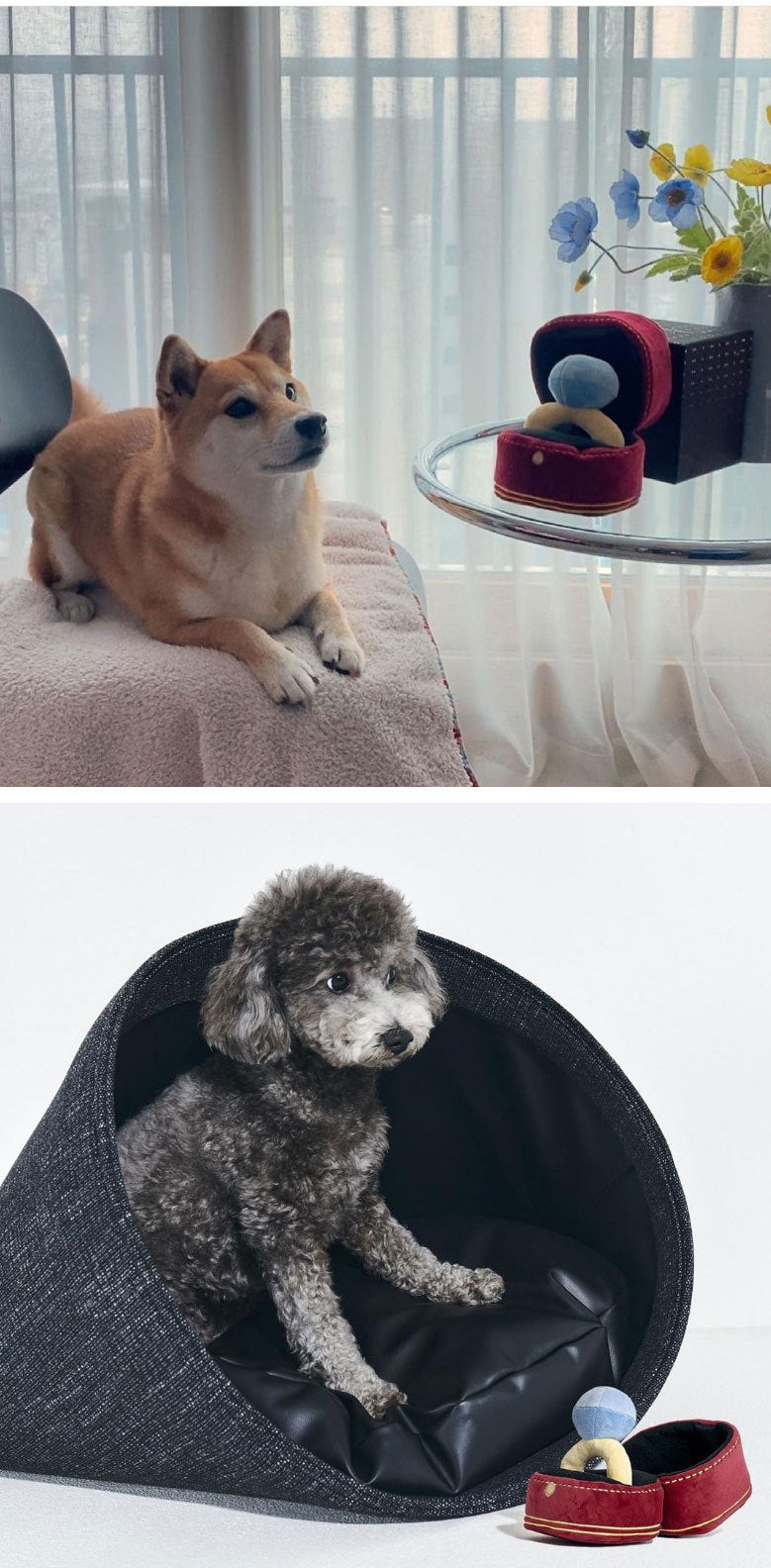 Korean diamond ring set dog toy