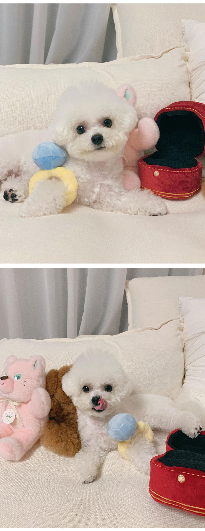 Korean diamond ring set dog toy