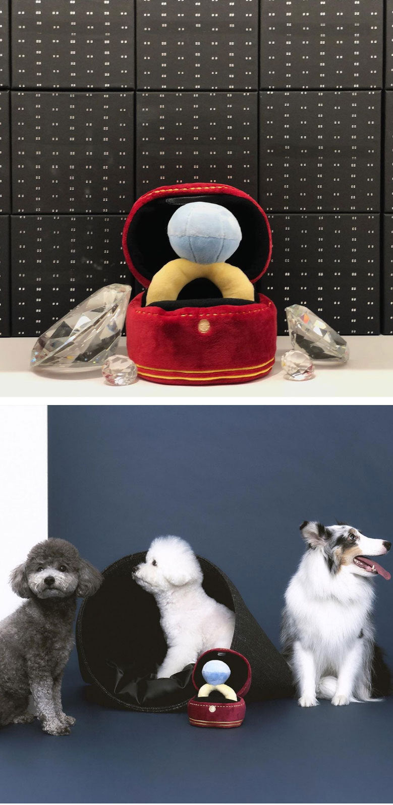 Korean diamond ring set dog toy